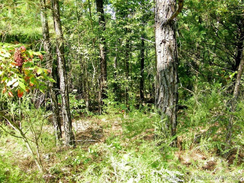 NE 155th Street Red Oak, OK 74563
