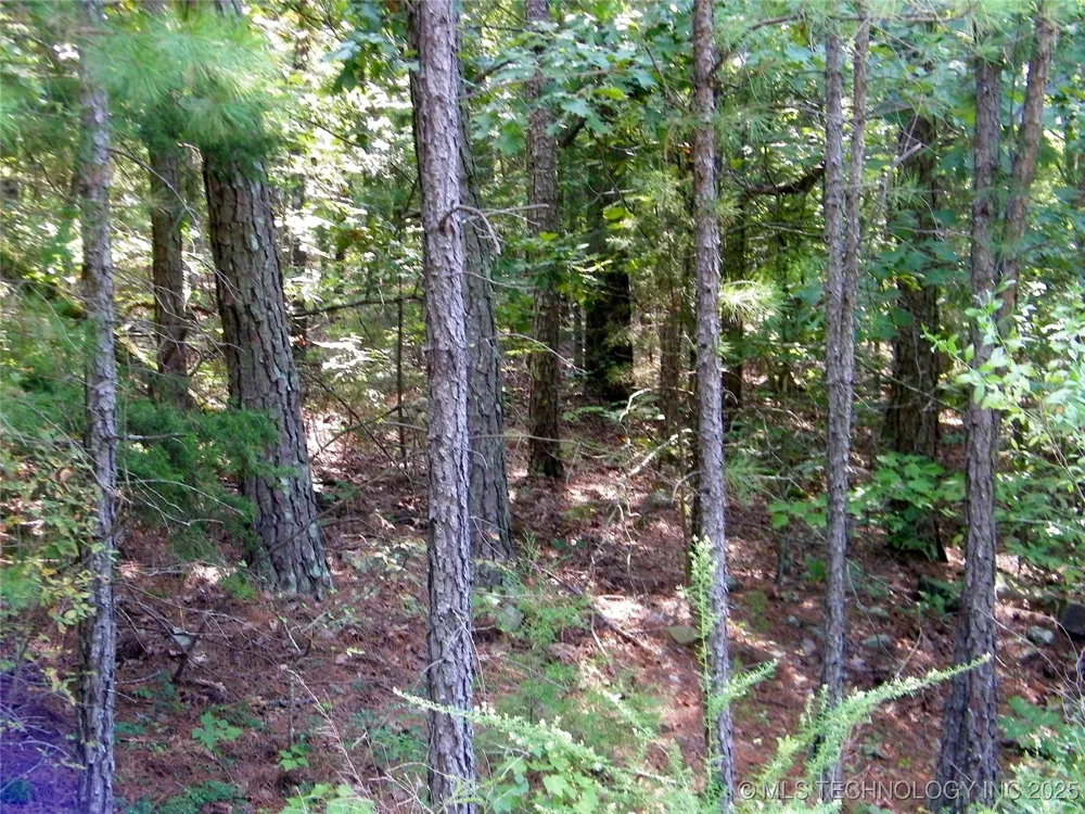 NE 155th Street Red Oak, OK 74563