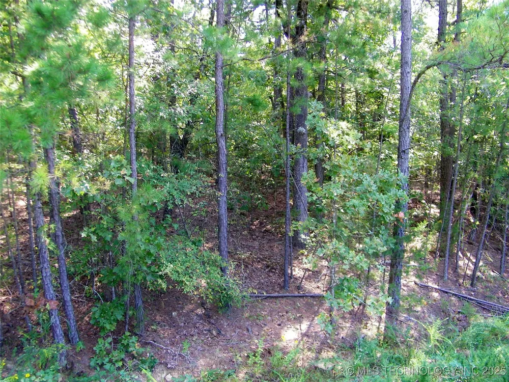 NE 155th Street Red Oak, OK 74563