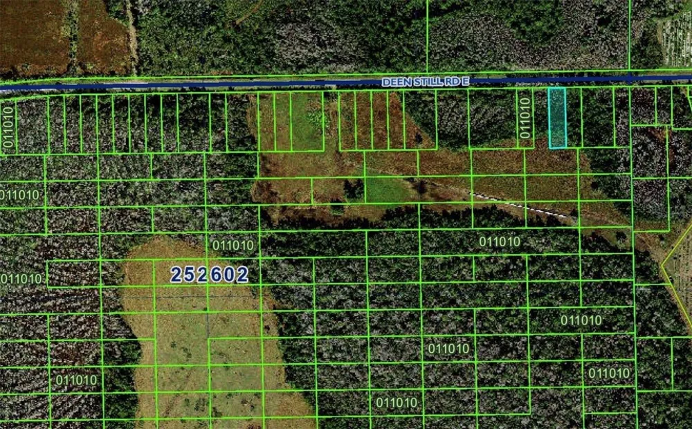 DEEN STILL ROAD E Polk City, FL 33868
