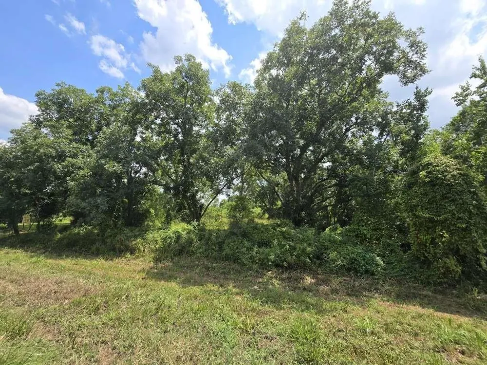 15208 Us Hwy 90  Tract 1 Devers, TX 77538