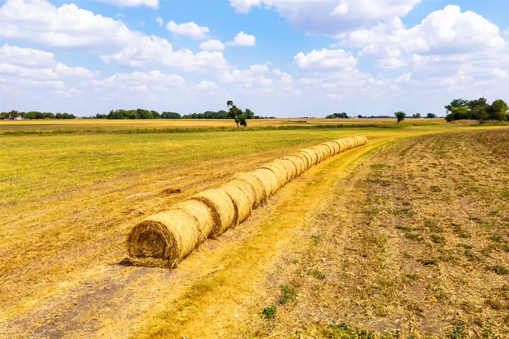 FM 1660 Taylor, TX 76574