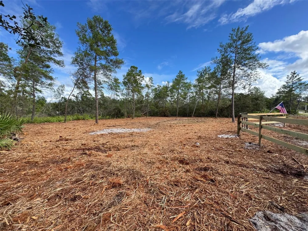 KENTUCKY STREET Paisley, FL 32767