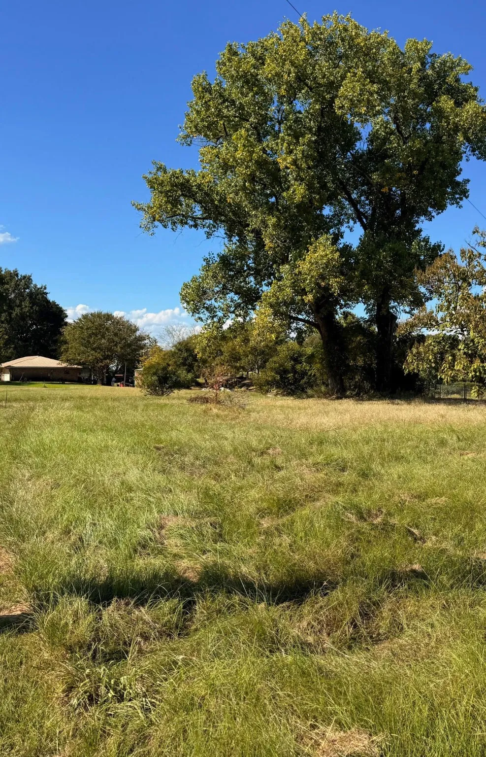 Rocking Chair Ranch Trinidad, TX 75163