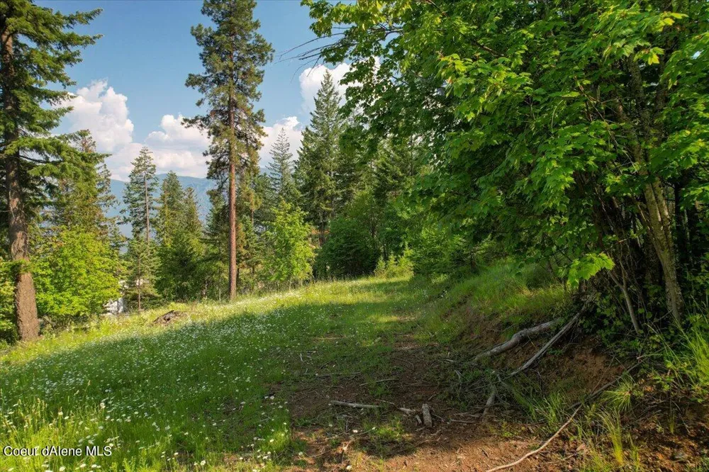 661 Midas Drive Sagle, ID 83860