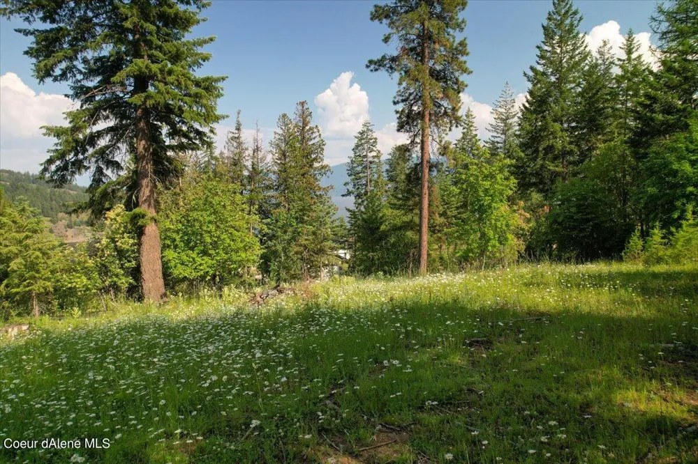 661 Midas Drive Sagle, ID 83860