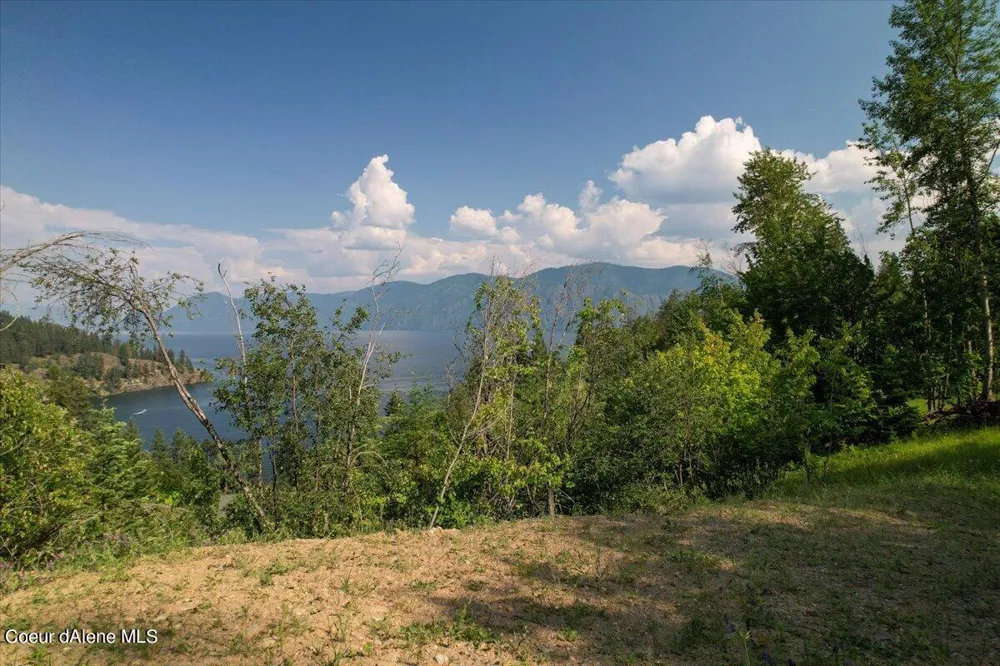 661 Midas Drive Sagle, ID 83860