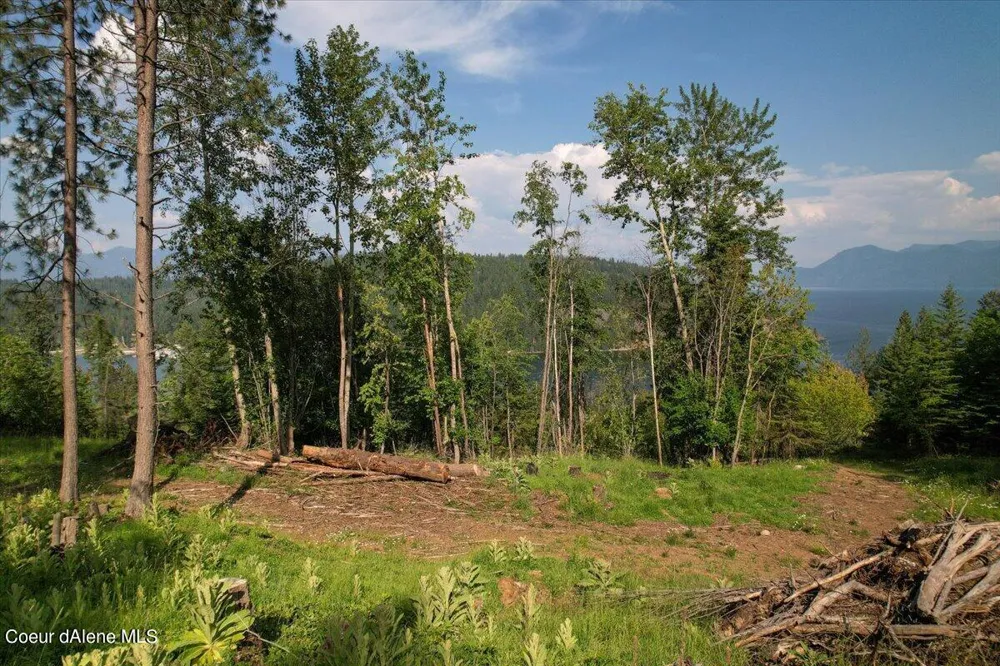 661 Midas Drive Sagle, ID 83860
