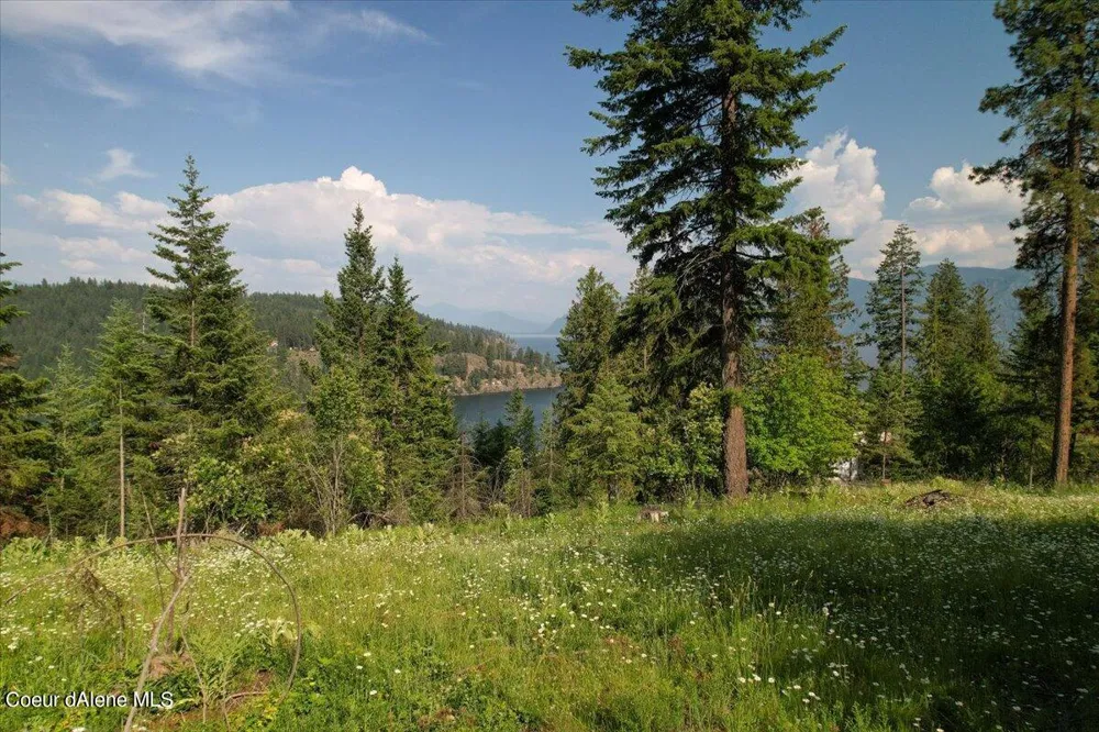 661 Midas Drive Sagle, ID 83860