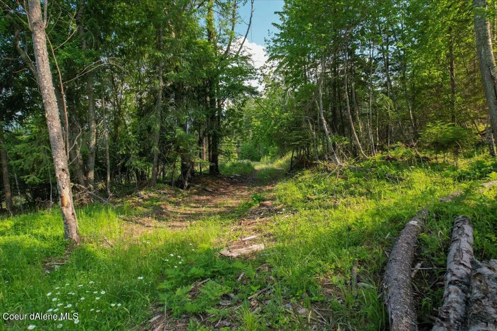 661 Midas Drive Sagle, ID 83860