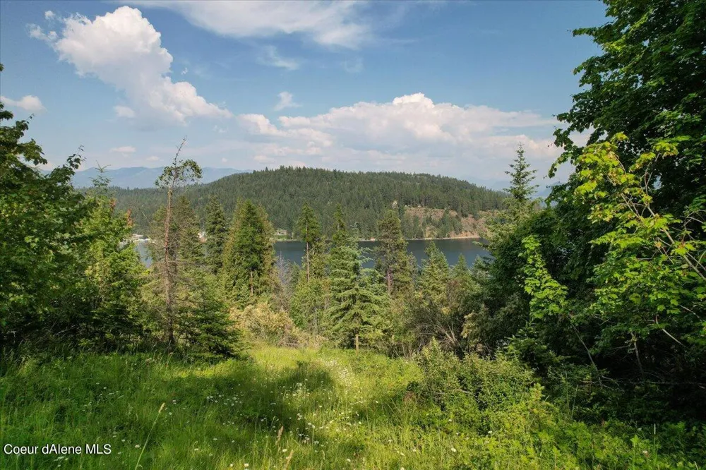 661 Midas Drive Sagle, ID 83860
