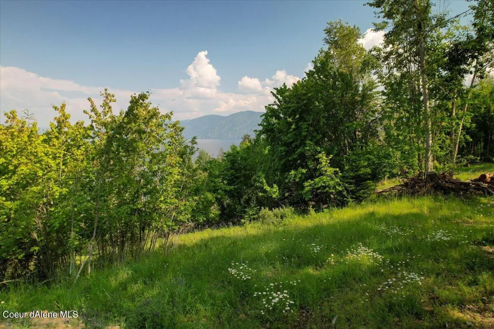 661 Midas Drive Sagle, ID 83860