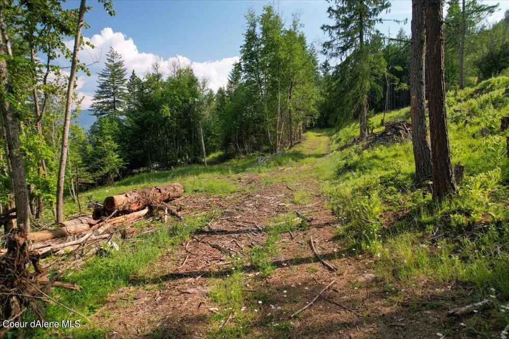 661 Midas Drive Sagle, ID 83860