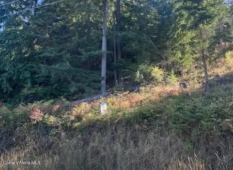 NNA Hwy 97 Harrison, ID 83833