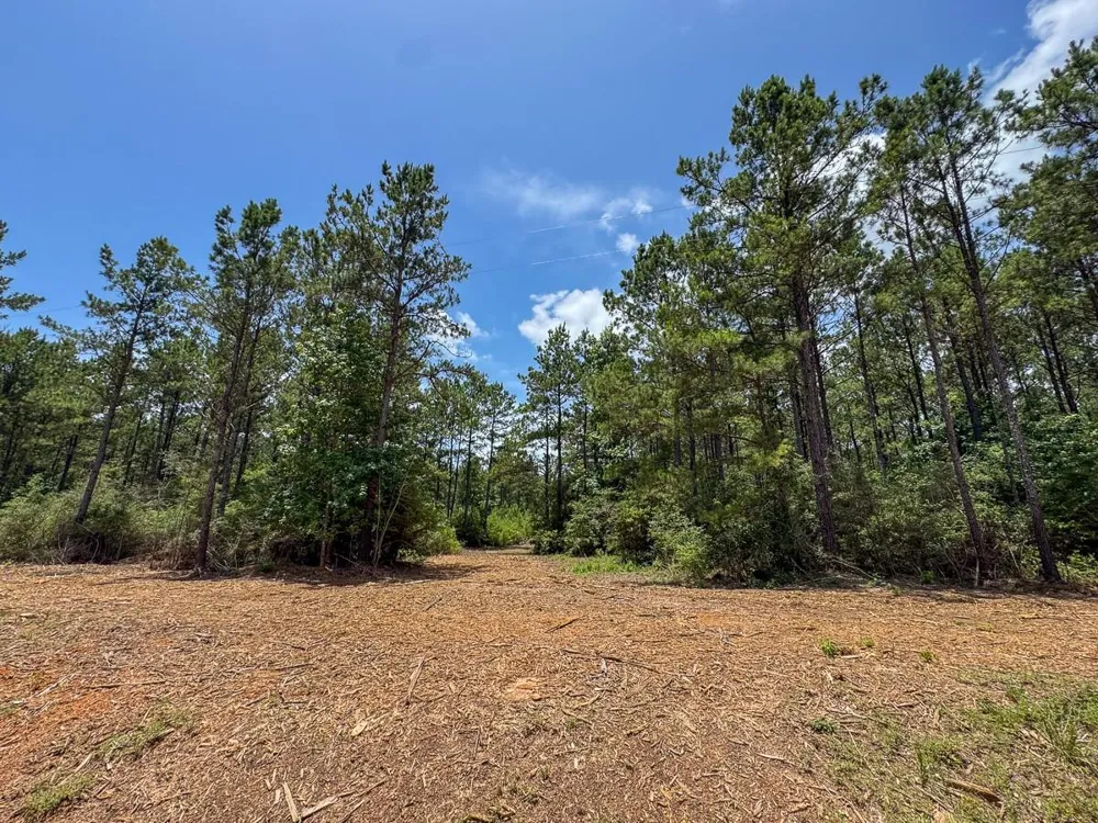 4 Benny Griffin Rd Dallardsville, TX 77351