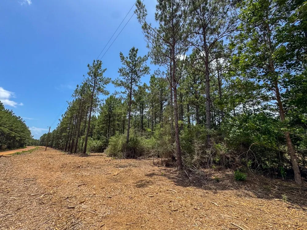 4 Benny Griffin Rd Dallardsville, TX 77351
