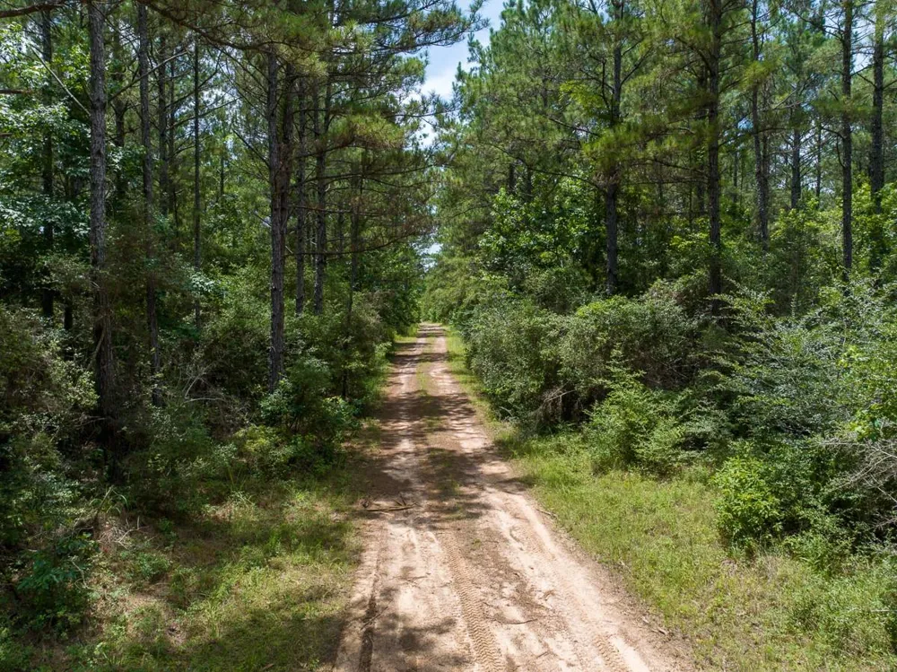 4 Benny Griffin Rd Dallardsville, TX 77351