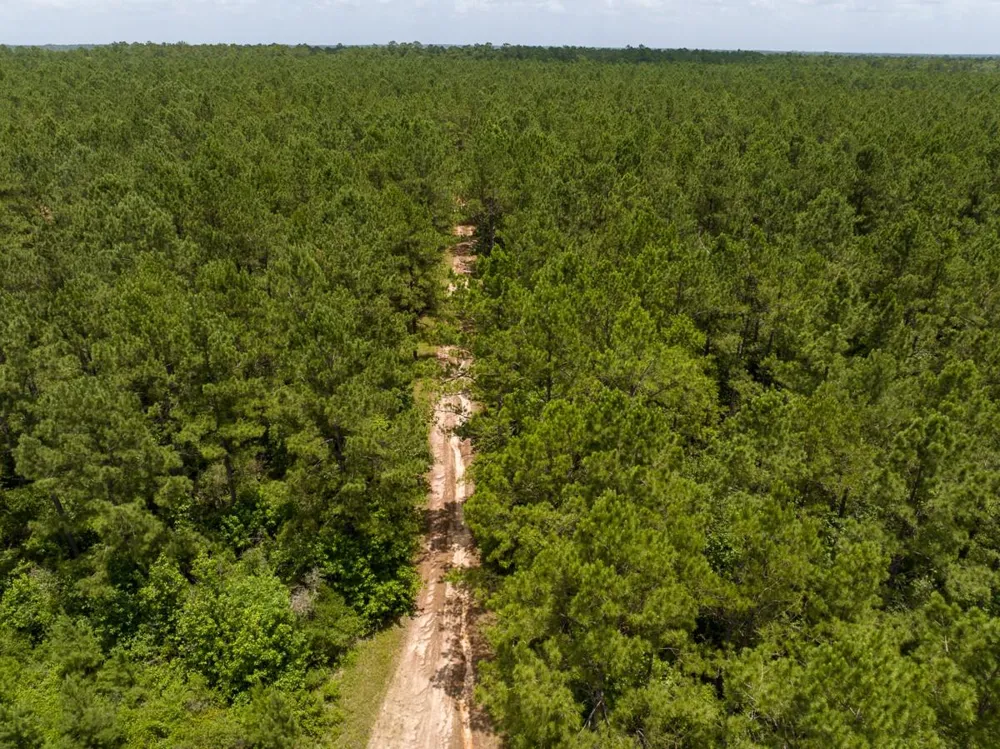 4 Benny Griffin Rd Dallardsville, TX 77351