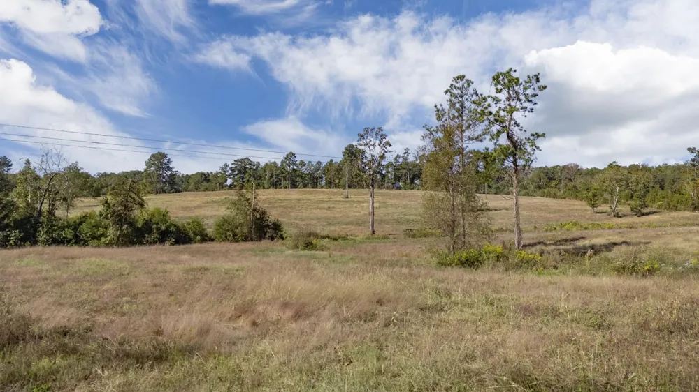 516 County Road 821 Nacogdoches, TX 75964