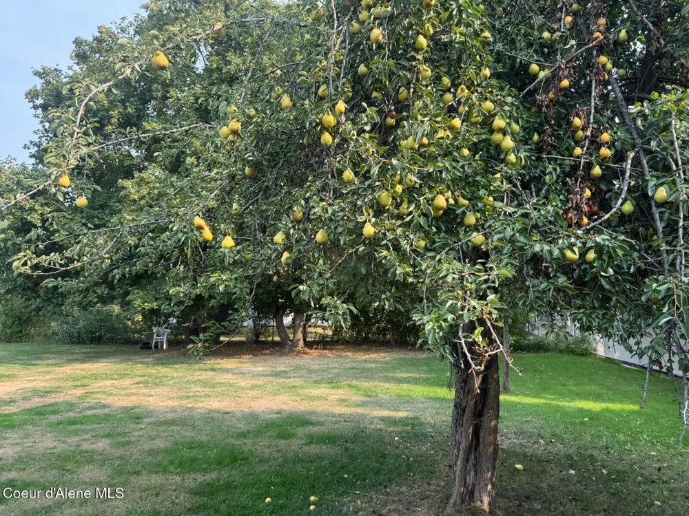 4306 Boyer Road Sandpoint, ID 83864