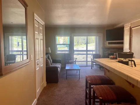 1399 Kirkwood Mdws Drive #213-215