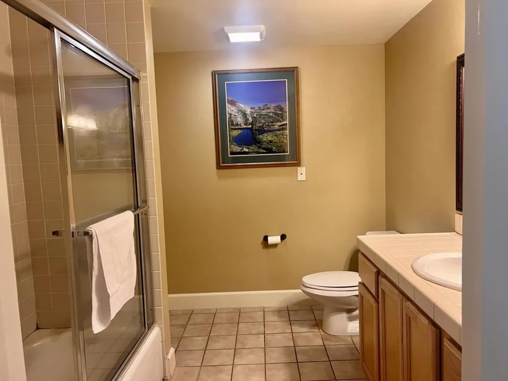 1399 Kirkwood Mdws Drive #213-215 Markleeville, CA 96120