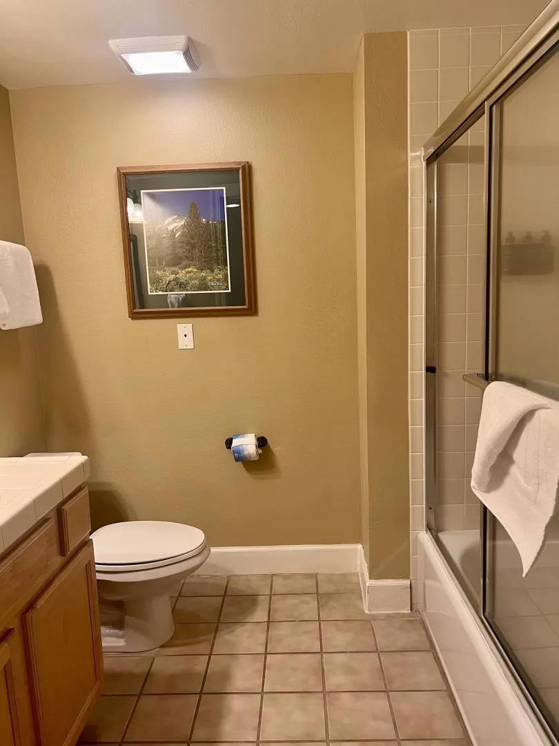 1399 Kirkwood Mdws Drive #213-215 Markleeville, CA 96120