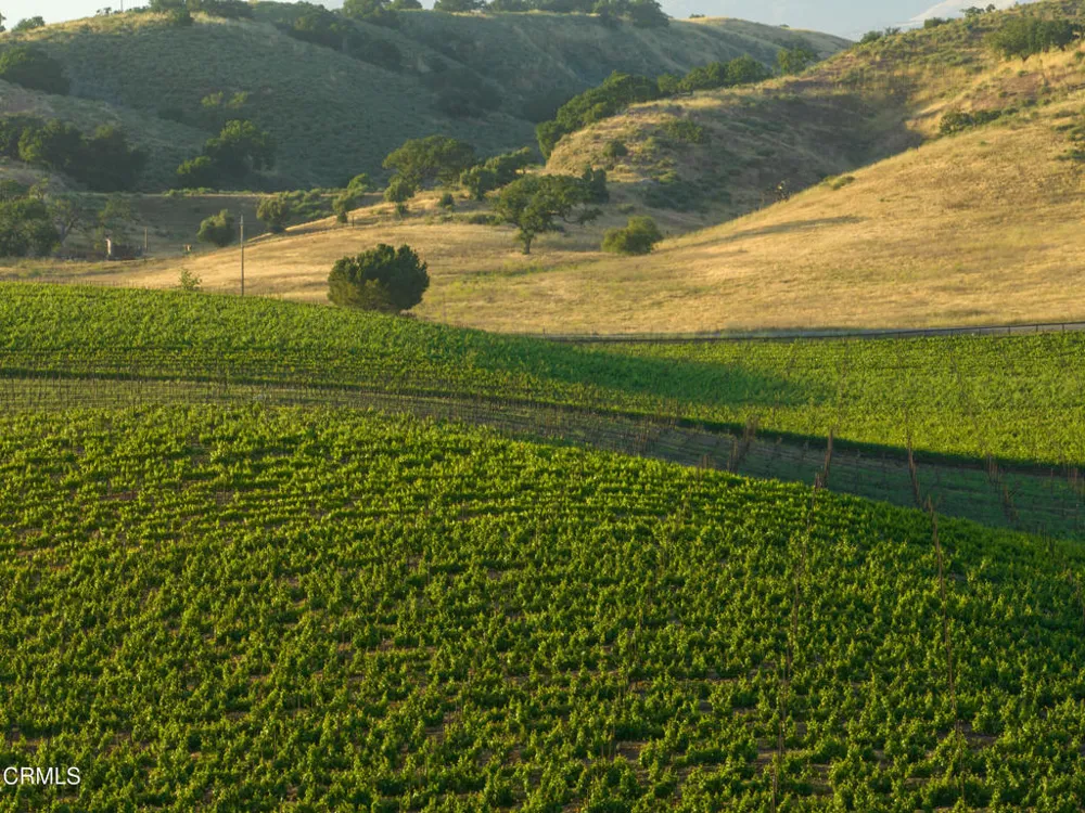 2175 Mora Avenue Santa Ynez, CA 93460