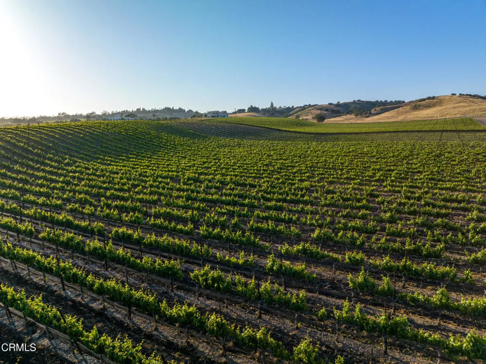2175 Mora Avenue Santa Ynez, CA 93460