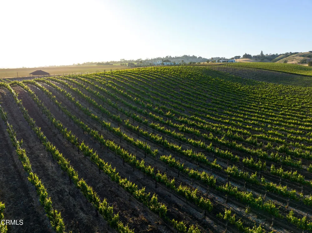 2175 Mora Avenue Santa Ynez, CA 93460