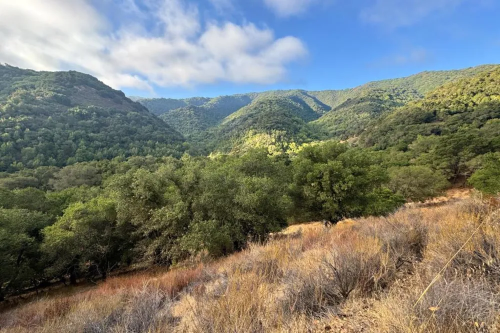 Wagner Road Los Gatos, CA 95032