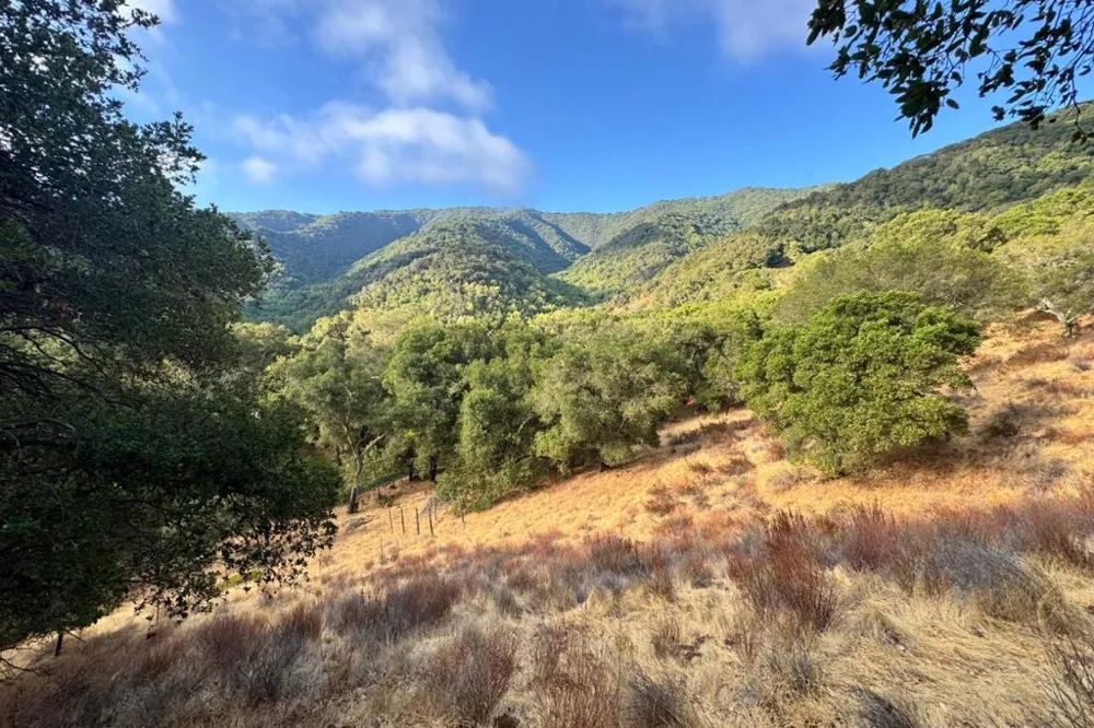 Wagner Road Los Gatos, CA 95032