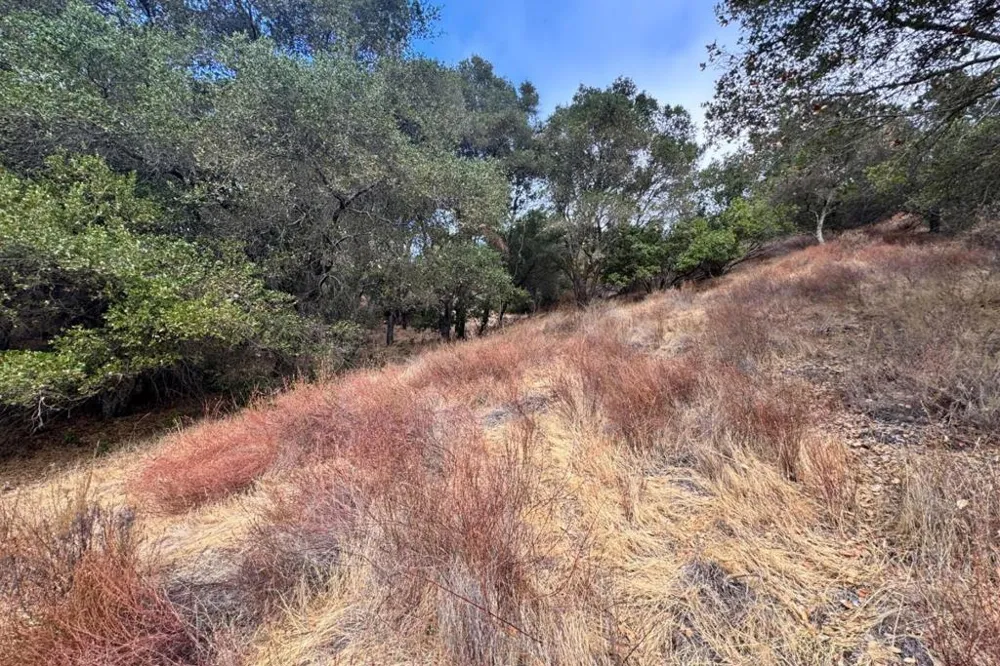 Wagner Road Los Gatos, CA 95032