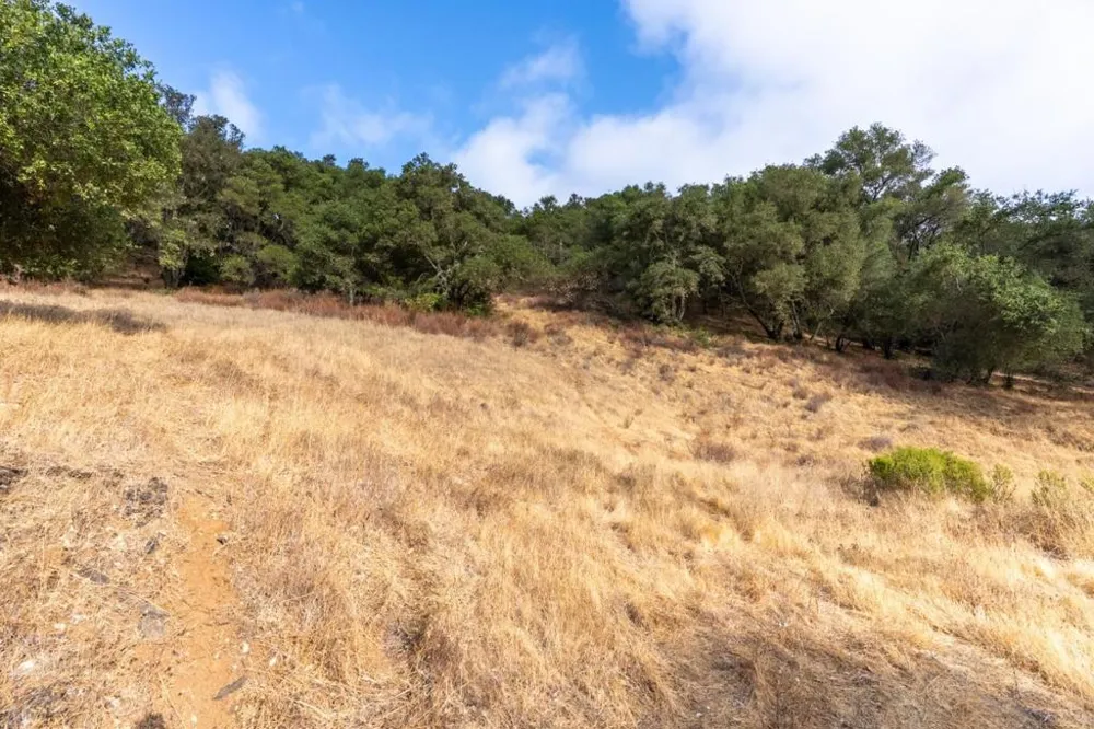 Wagner Road Los Gatos, CA 95032