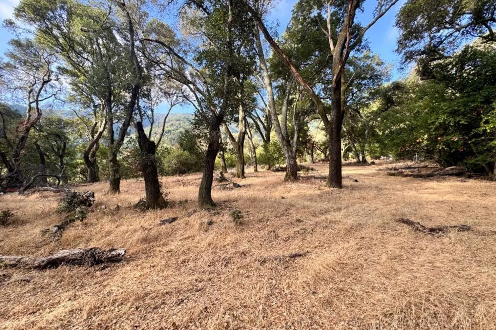 Wagner Road Los Gatos, CA 95032