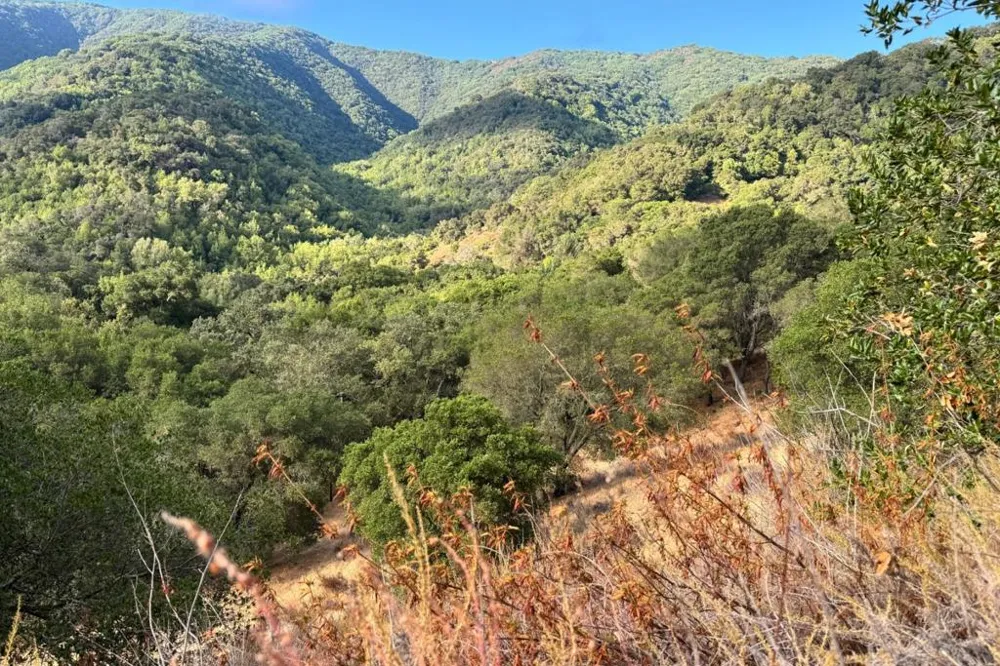 Wagner Road Los Gatos, CA 95032