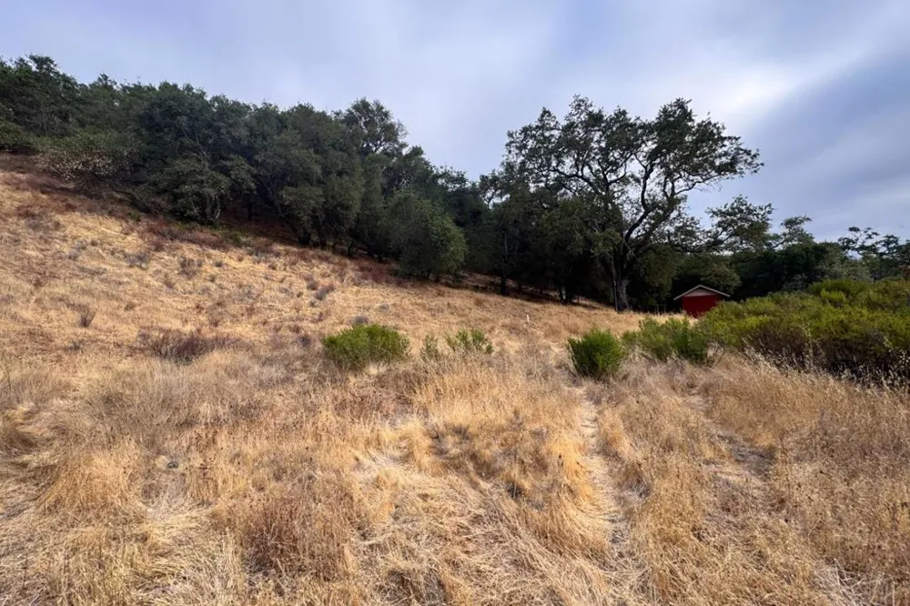 Wagner Road Los Gatos, CA 95032