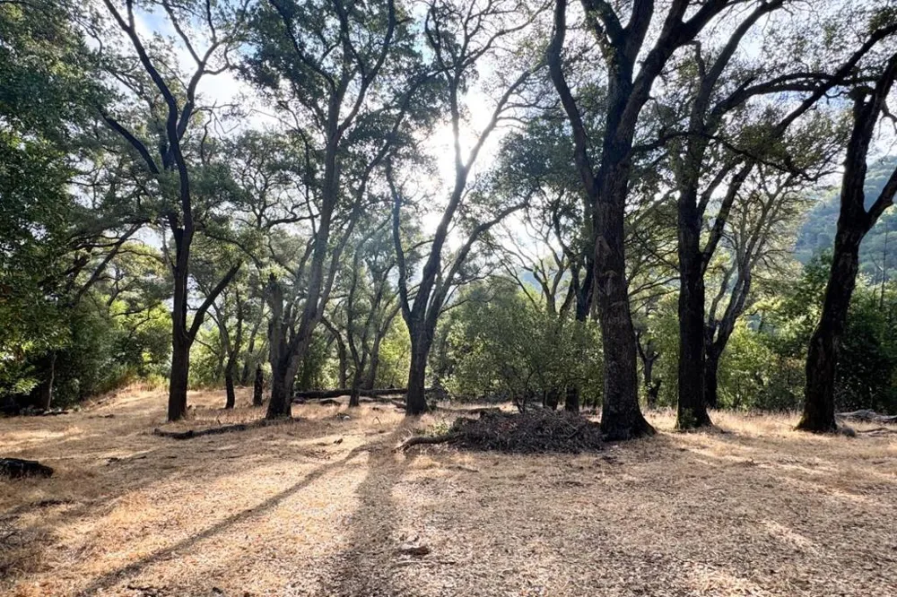 Wagner Road Los Gatos, CA 95032