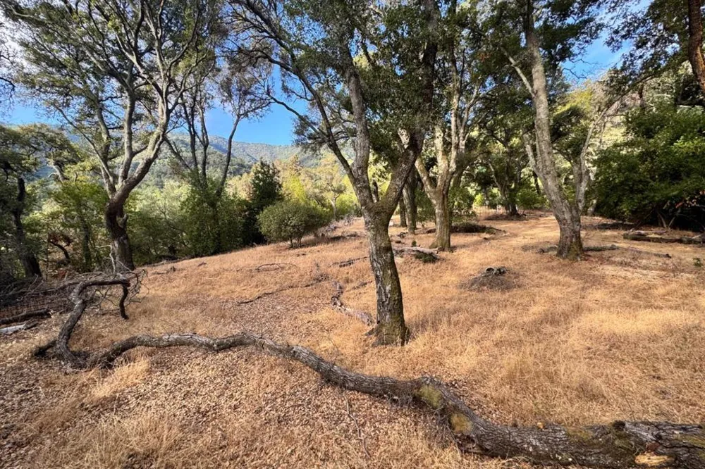 Wagner Road Los Gatos, CA 95032