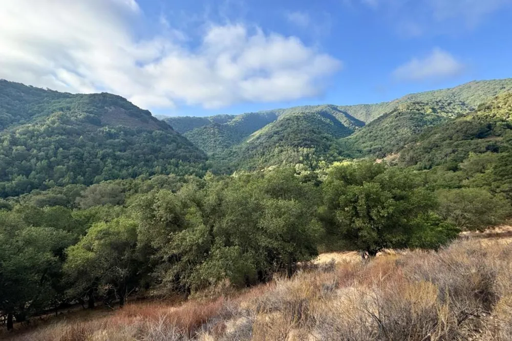 Wagner Road Los Gatos, CA 95032