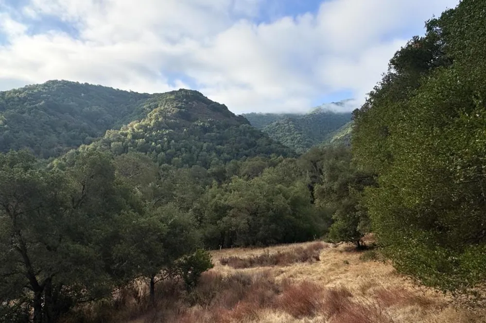 Wagner Road Los Gatos, CA 95032