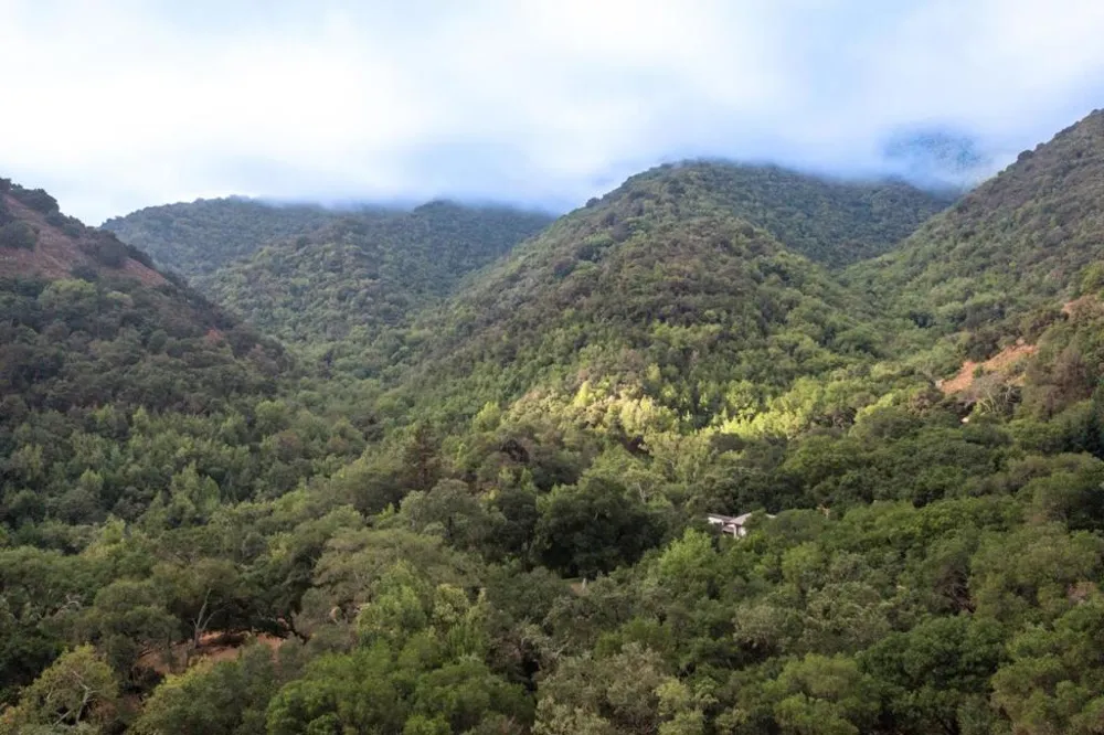 Wagner Road Los Gatos, CA 95032