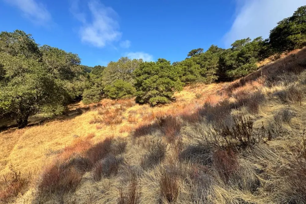 Wagner Road Los Gatos, CA 95032