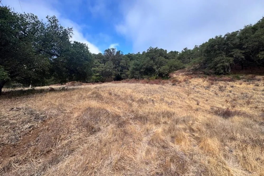 Wagner Road Los Gatos, CA 95032