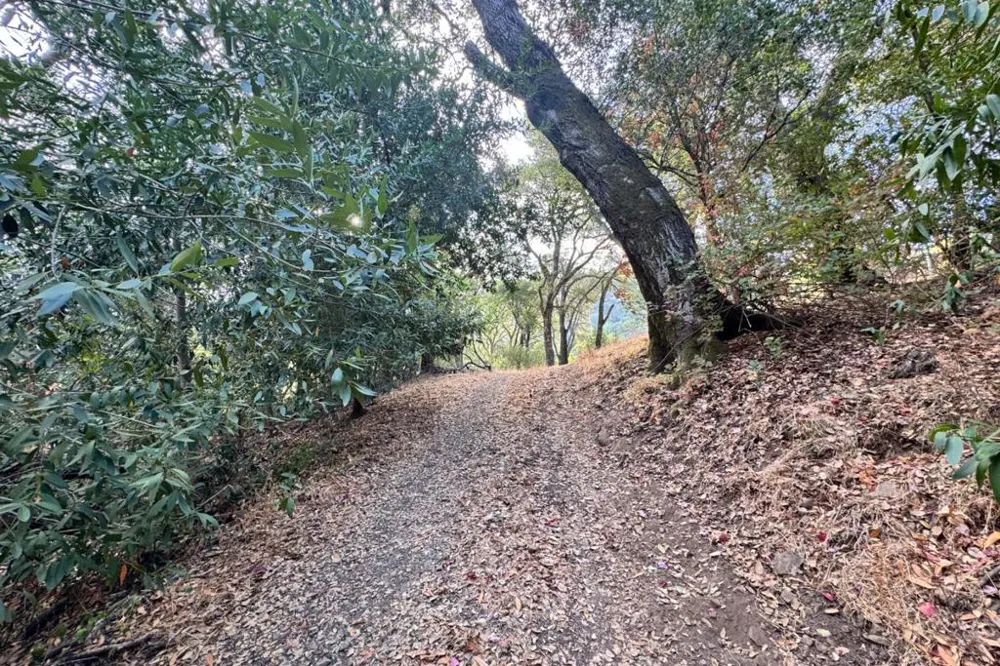 Wagner Road Los Gatos, CA 95032