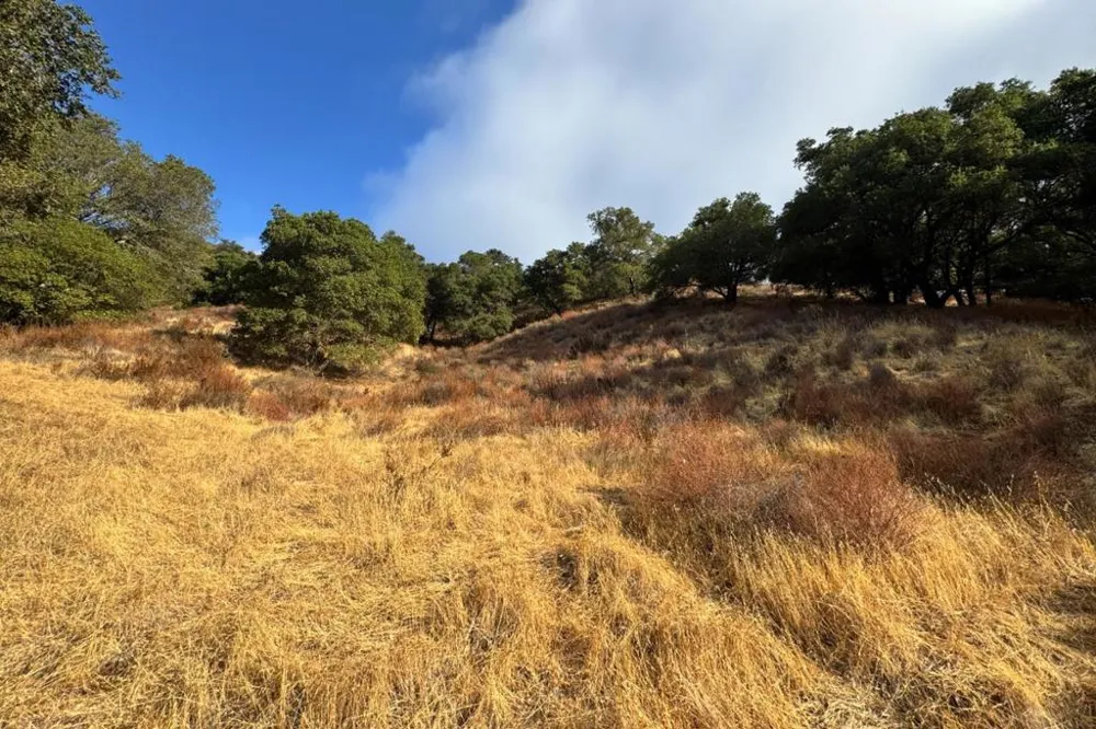 Wagner Road Los Gatos, CA 95032