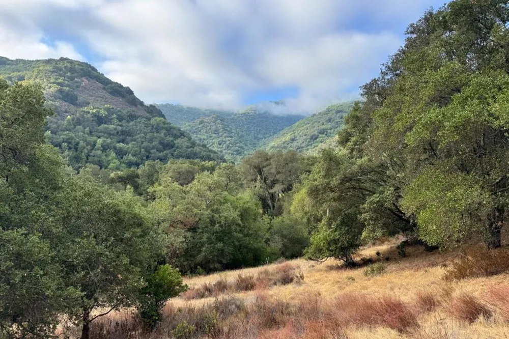 Wagner Road Los Gatos, CA 95032
