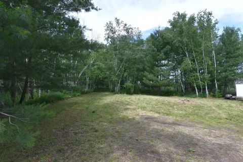 18625 Skunk Lake Road