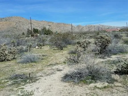 29 Palms Highway Morongo Valley, CA 92256