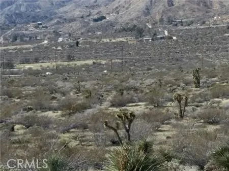 29 Palms Highway Morongo Valley, CA 92256